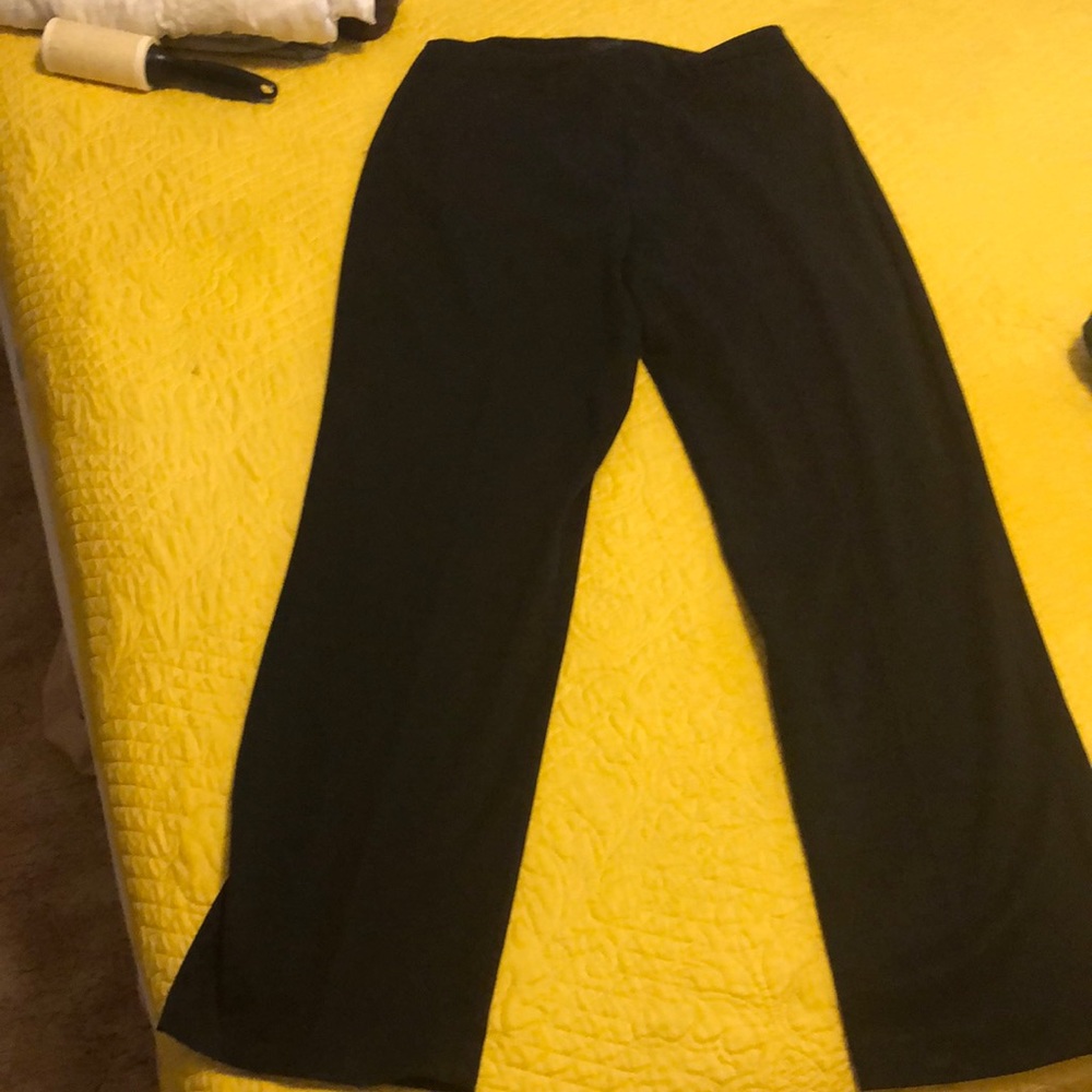The limited size 12 stretch pants
